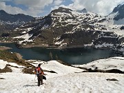 Laghi Gemelli dalle Baite di Mezzeno, fiori, stambecchi e ancora neve (4giu21) - FOTOGALLERY